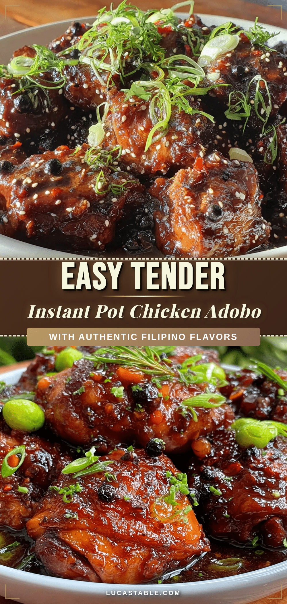 Instant Pot Filipino Chicken Adobo recipe