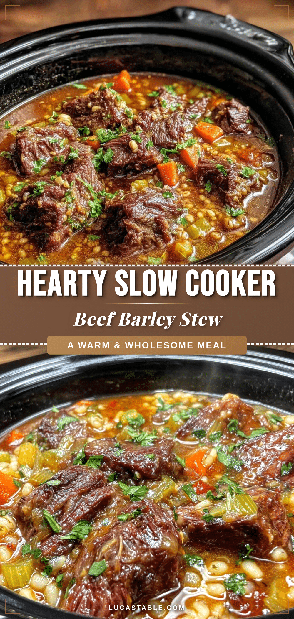 slow cooker beef and barley stew recipe