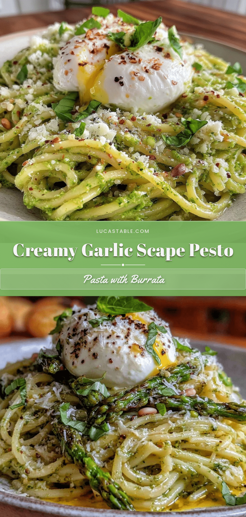 creamy garlic scape pesto pasta recipe
