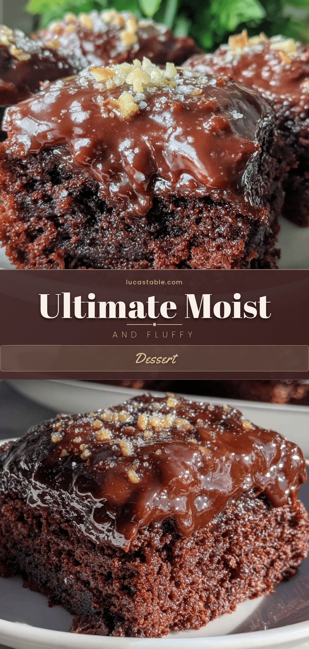 moist fluffy chocolate ganache dessert recipe