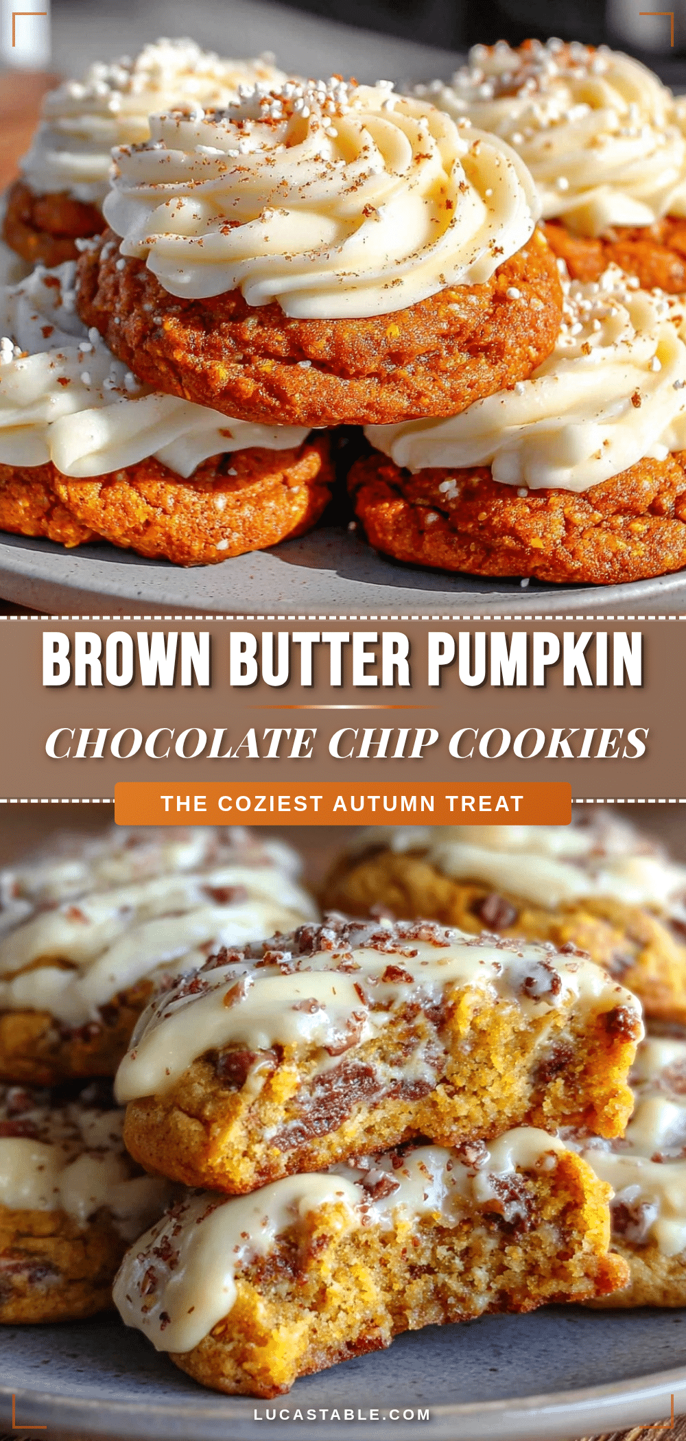 pumpkin chocolate chip cookies recipe