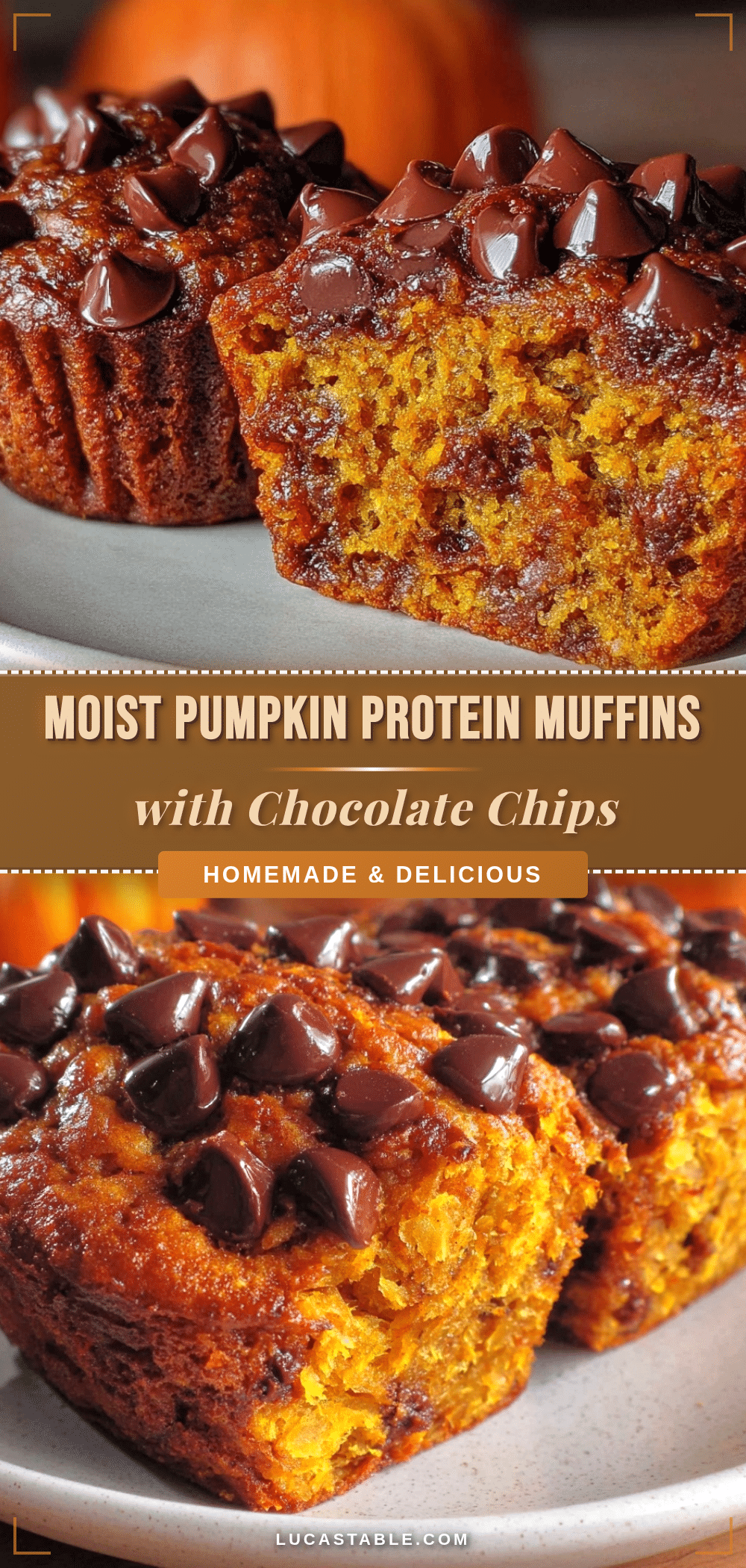 pumpkin protein muffins recipe