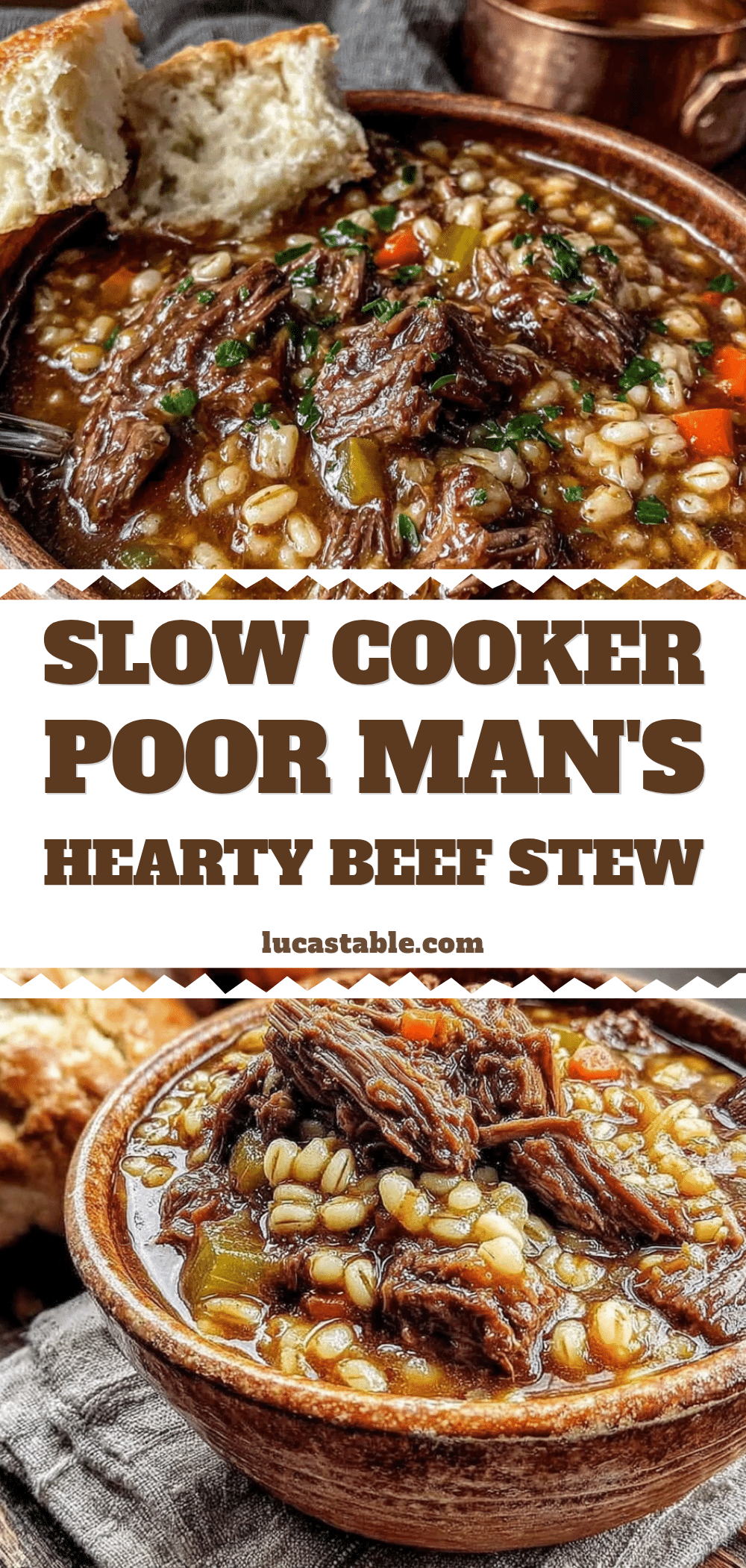 cozy slow cooker poor mans stew recipe