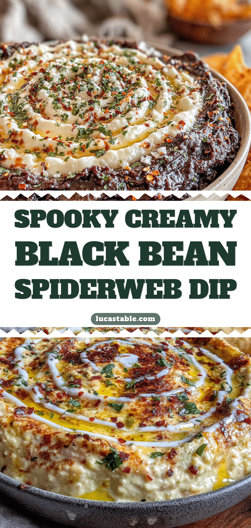 creamy black bean spiderweb dip recipe