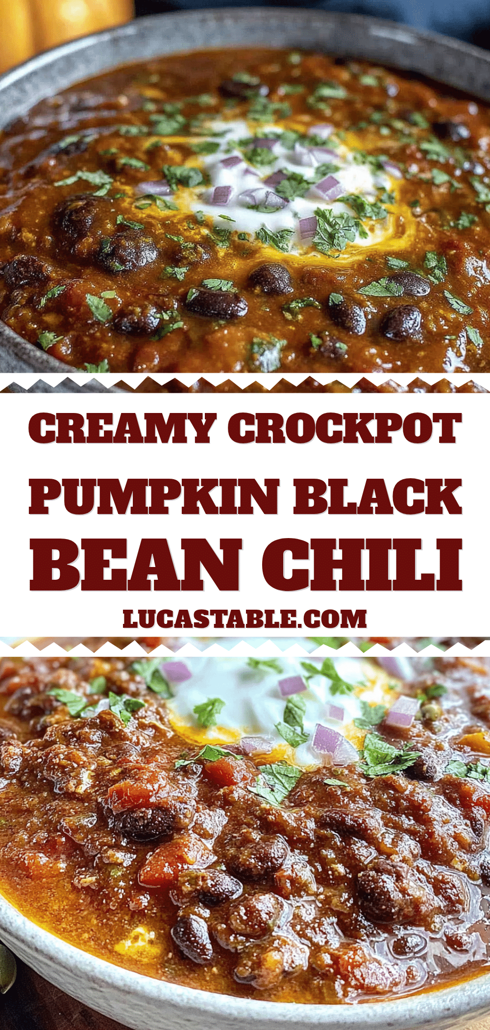 crockpot pumpkin chili with black beans recipe