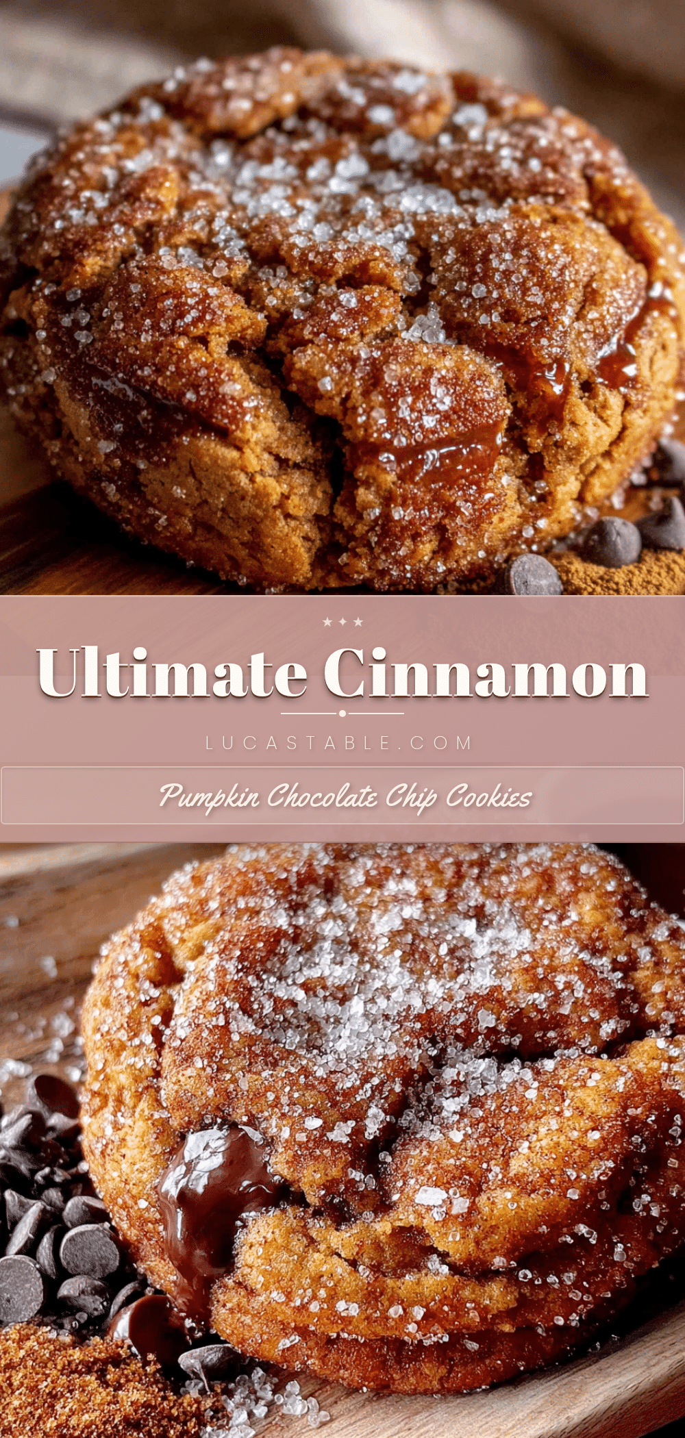 pumpkin chocolate chip cookies recipe