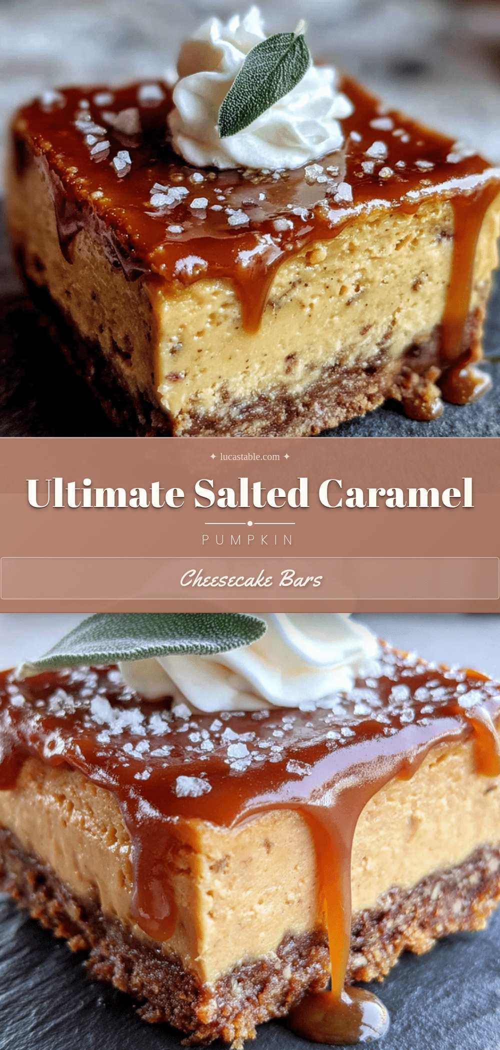 Salted Caramel Pumpkin Cheesecake Bars recipe