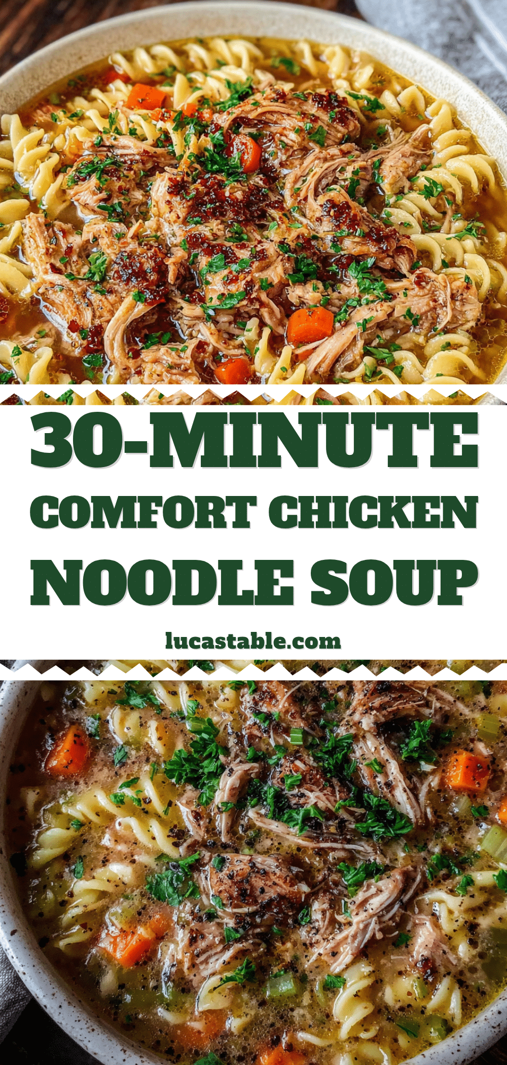 30-minute chicken noodle soup with rotisserie chicken recipe