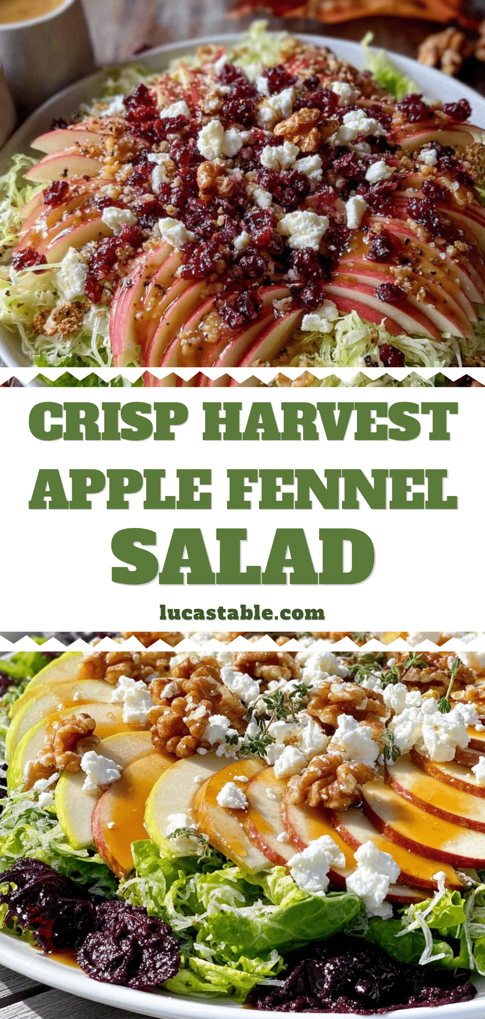 apple fennel salad recipe