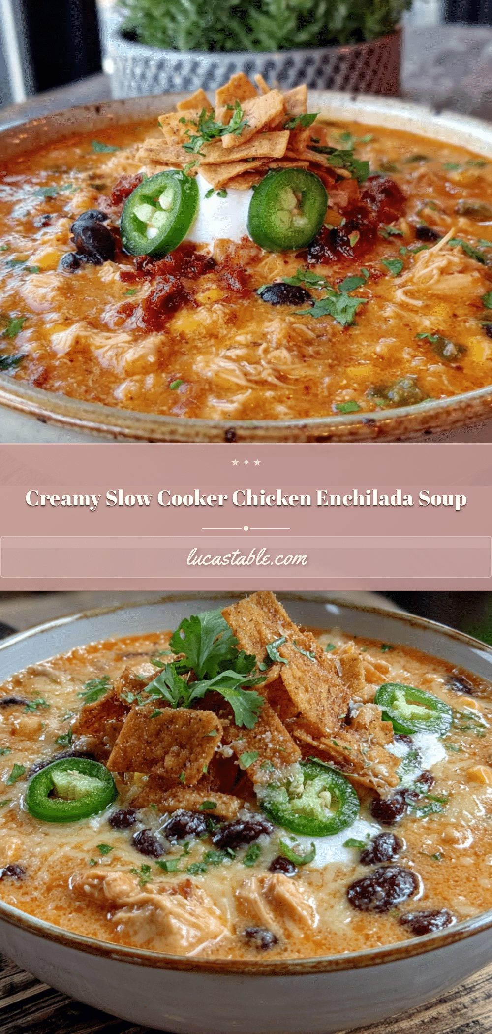 creamy crockpot chicken enchilada soup recipe