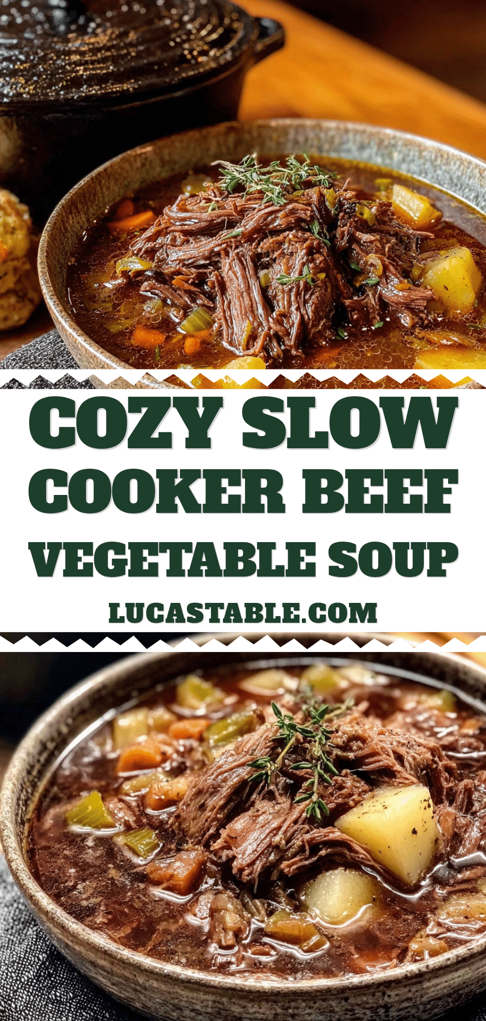 slow cooker beef and vegetable soup recipe