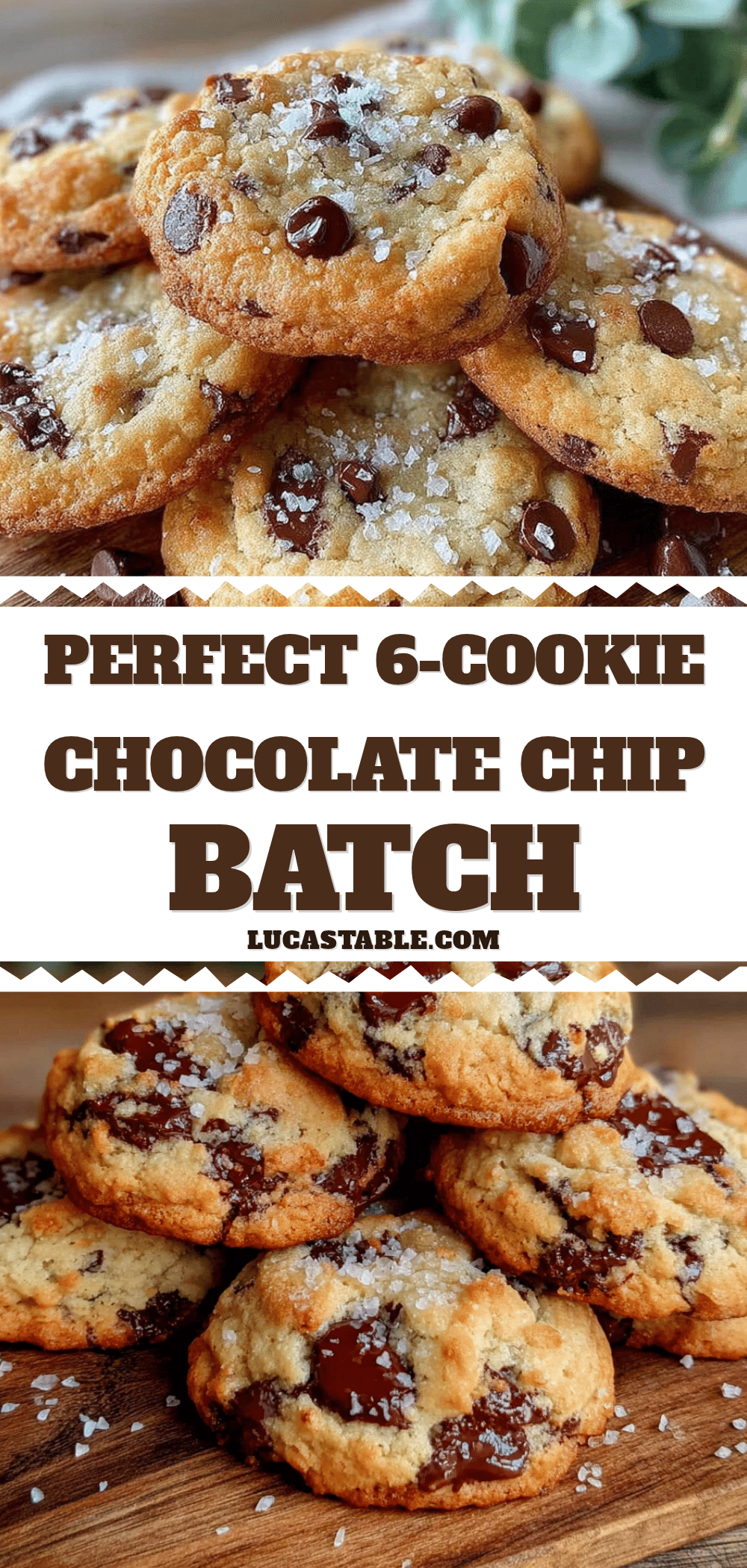 small-batch chocolate chip cookies recipe