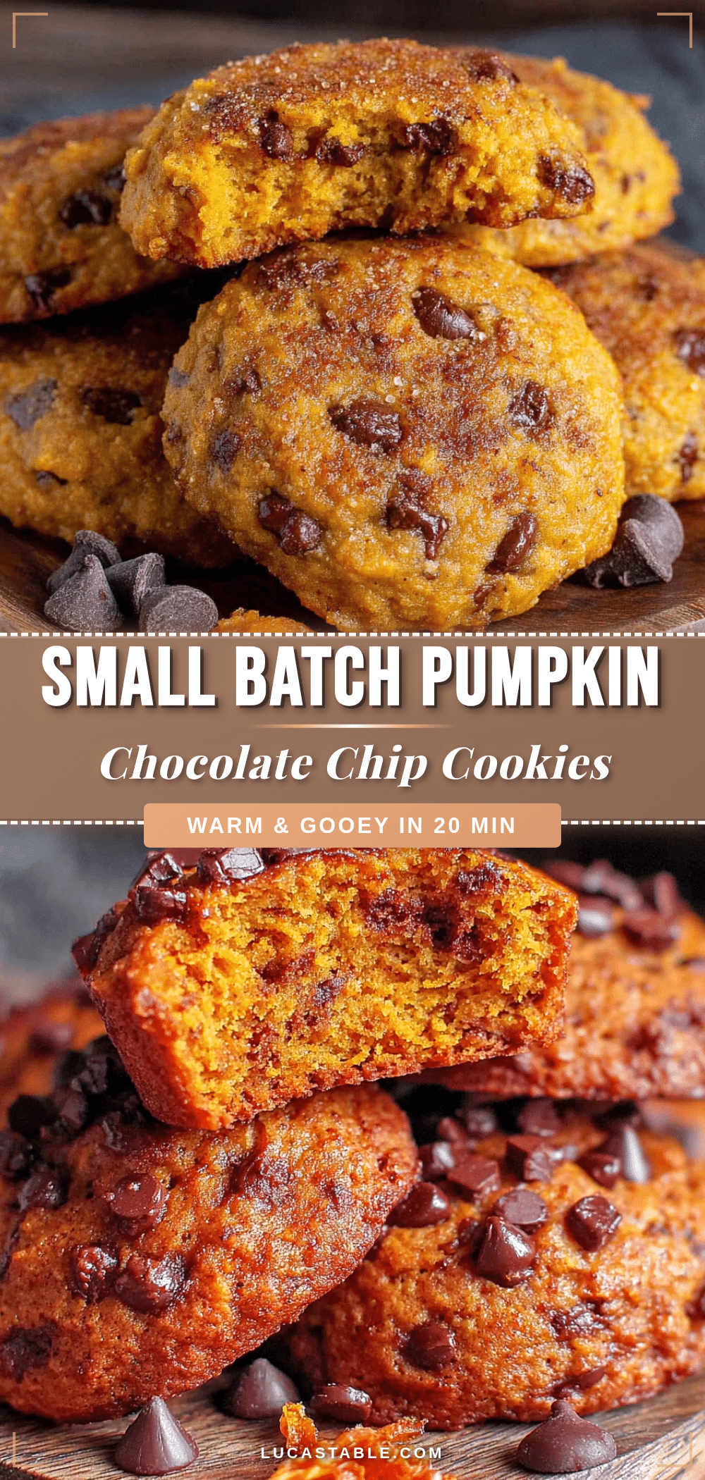 small batch pumpkin chocolate chip cookies recipe