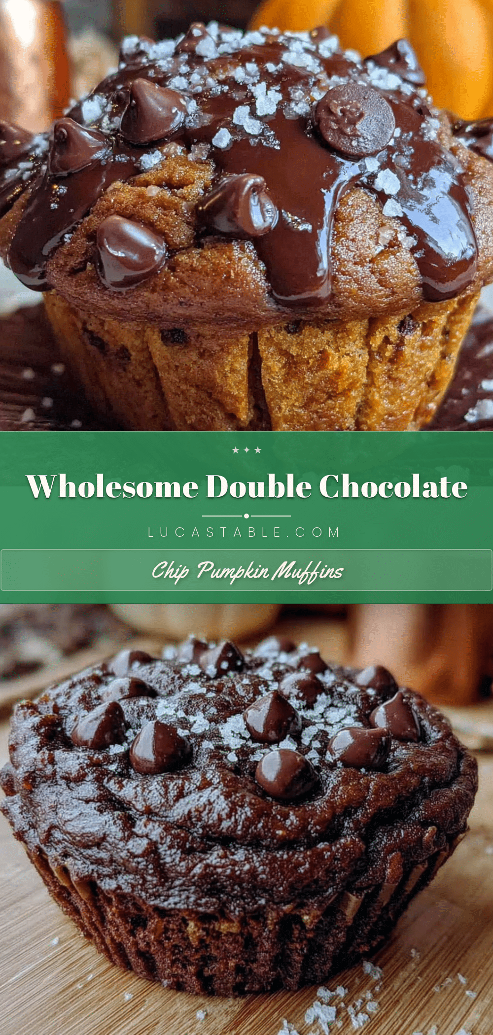 wholesome double chocolate chip pumpkin muffins recipe