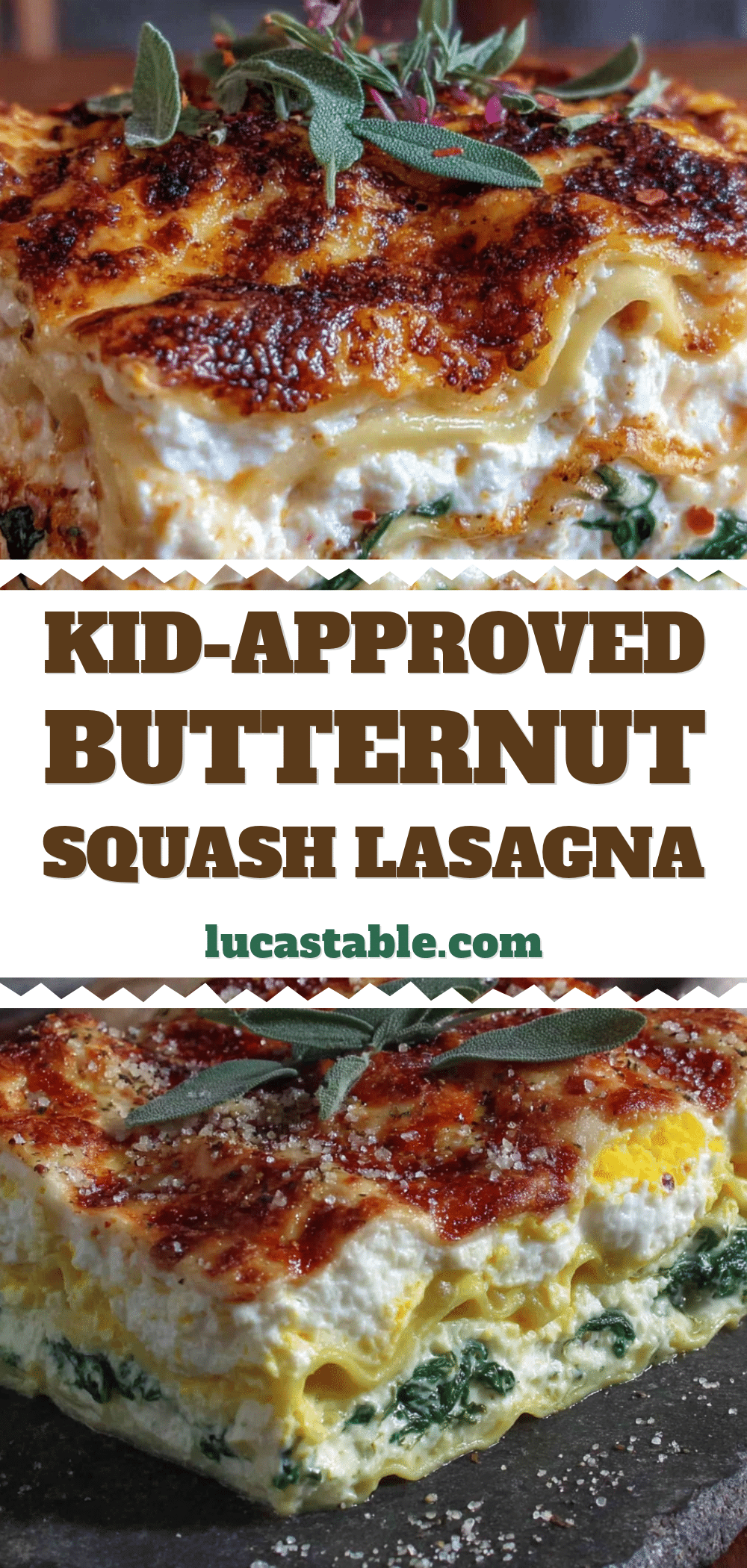 butternut squash lasagna bake recipe
