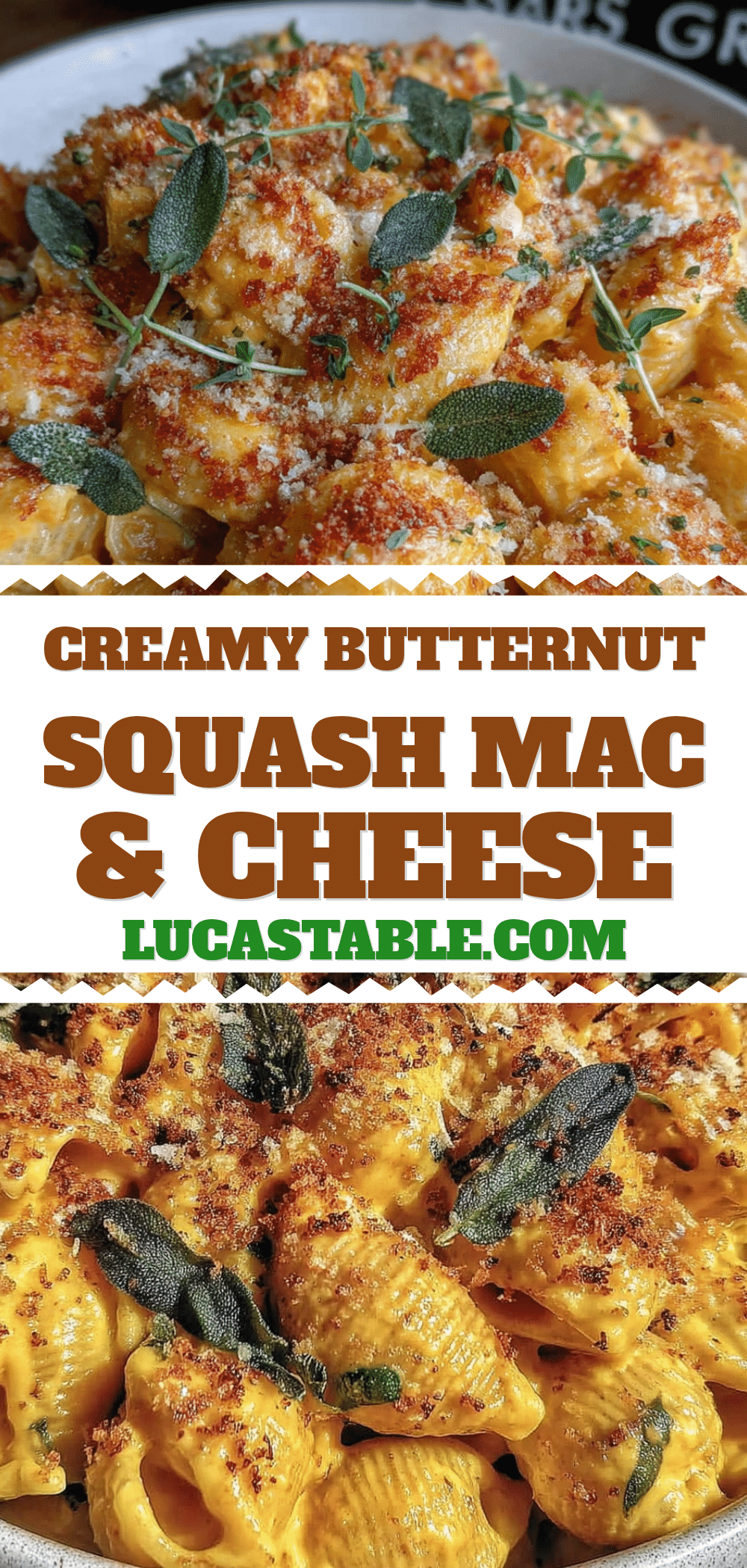 creamy butternut squash mac and cheese recipe