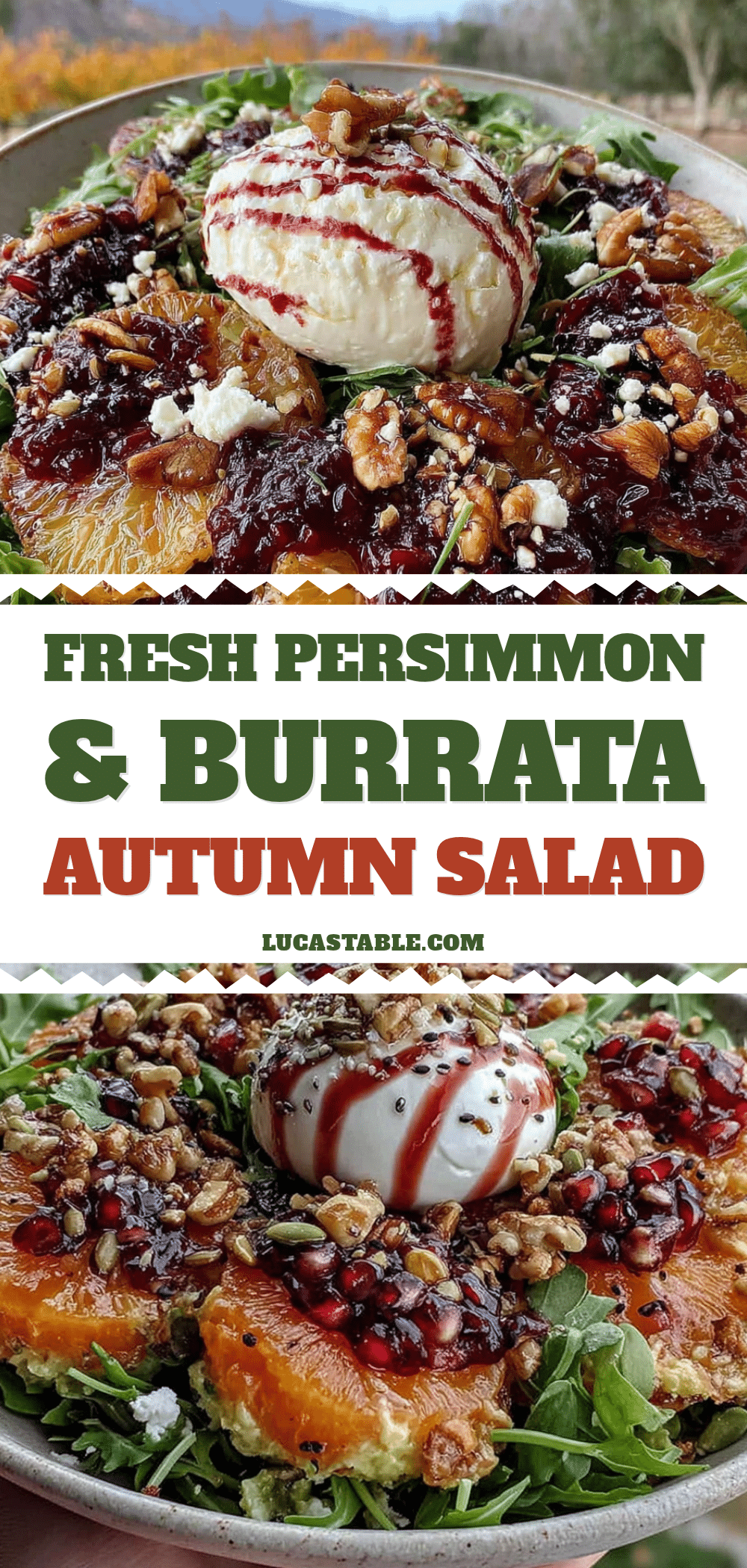 persimmon and burrata autumn salad recipe